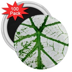 Leaf Patterns 3  Button Magnet (100 Pack)