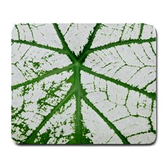 Leaf Patterns Large Mouse Pad (rectangle) by natureinmalaysia