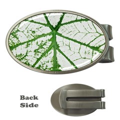 Leaf Patterns Money Clip (oval) by natureinmalaysia