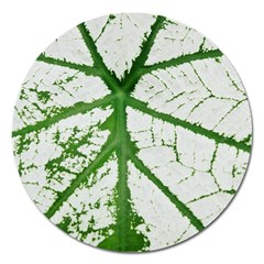 Leaf Patterns Magnet 5  (round) by natureinmalaysia