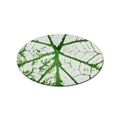 Leaf Patterns Sticker 100 Pack (oval)