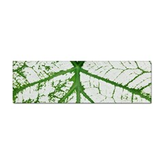 Leaf Patterns Bumper Sticker 100 Pack by natureinmalaysia