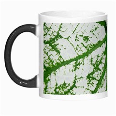 Leaf Patterns Morph Mug by natureinmalaysia