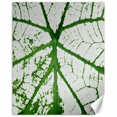 Leaf Patterns Canvas 16  X 20  (unframed)