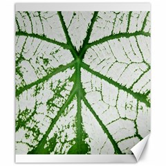 Leaf Patterns Canvas 20  X 24  (unframed)