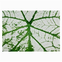 Leaf Patterns Glasses Cloth (large, Two Sided) by natureinmalaysia