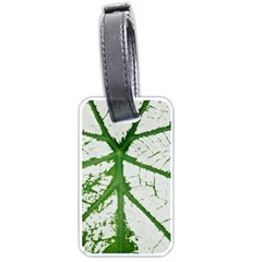 Leaf Patterns Luggage Tag (one Side) by natureinmalaysia