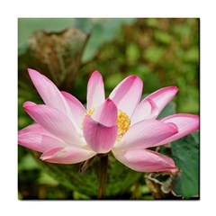 A Pink Lotus Ceramic Tile by natureinmalaysia