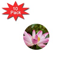 A Pink Lotus 1  Mini Button (10 Pack) by natureinmalaysia