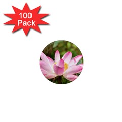 A Pink Lotus 1  Mini Button Magnet (100 Pack) by natureinmalaysia