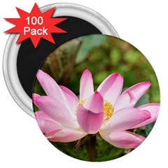 A Pink Lotus 3  Button Magnet (100 Pack) by natureinmalaysia