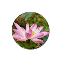 A Pink Lotus Drink Coaster (round) by natureinmalaysia