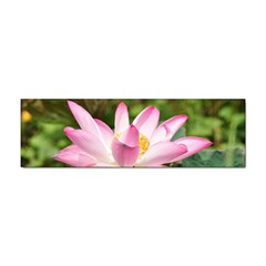 A Pink Lotus Bumper Sticker by natureinmalaysia