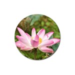 A Pink Lotus Magnet 3  (Round) Front