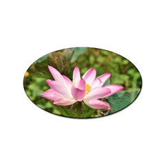 A Pink Lotus Sticker 10 Pack (oval)