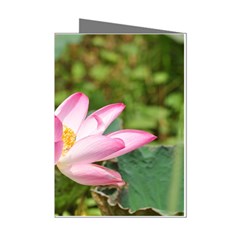 A Pink Lotus Mini Greeting Card (8 Pack) by natureinmalaysia