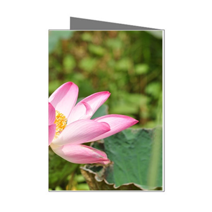 A Pink Lotus Mini Greeting Card (8 Pack)