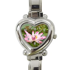 A Pink Lotus Heart Italian Charm Watch  by natureinmalaysia