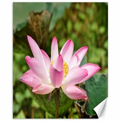 A Pink Lotus Canvas 16  X 20  (unframed) by natureinmalaysia