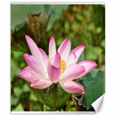 A Pink Lotus Canvas 20  X 24  (unframed) by natureinmalaysia