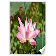 A Pink Lotus Canvas 20  X 30  (unframed) by natureinmalaysia