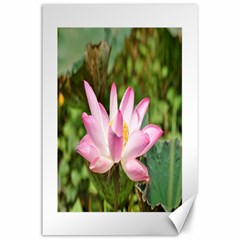 A Pink Lotus Canvas 24  X 36  (unframed) by natureinmalaysia