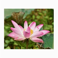 A Pink Lotus Glasses Cloth (small, Two Sided) by natureinmalaysia