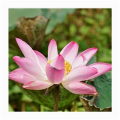 A Pink Lotus Glasses Cloth (medium) by natureinmalaysia