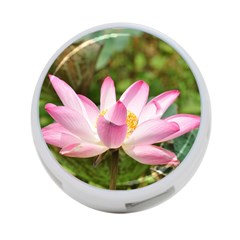 A Pink Lotus 4-port Usb Hub (two Sides) by natureinmalaysia