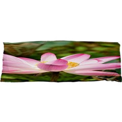 A Pink Lotus Samsung S3350 Hardshell Case by natureinmalaysia