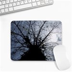 An Old Tree Small Mouse Pad (Rectangle) Front