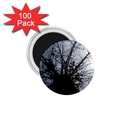 An Old Tree 1 75  Button Magnet (100 Pack) by natureinmalaysia