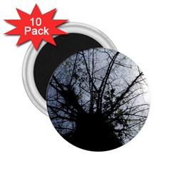 An Old Tree 2 25  Button Magnet (10 Pack) by natureinmalaysia