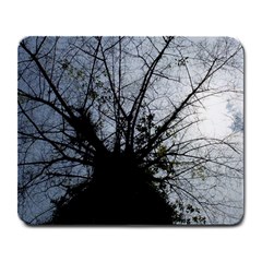 An Old Tree Large Mouse Pad (rectangle) by natureinmalaysia