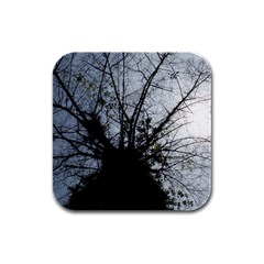 An Old Tree Drink Coasters 4 Pack (square)