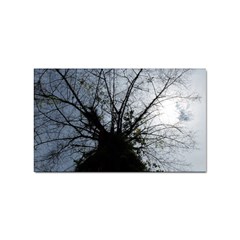 An Old Tree Sticker 100 Pack (rectangle) by natureinmalaysia