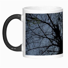 An Old Tree Morph Mug