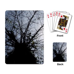 An Old Tree Playing Cards Single Design by natureinmalaysia