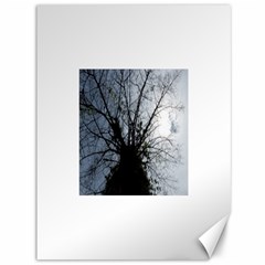 An Old Tree Canvas 36  X 48  (unframed) by natureinmalaysia