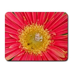 A Red Flower Small Mouse Pad (rectangle)