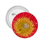 A Red Flower 2.25  Button Front