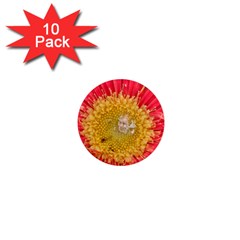 A Red Flower 1  Mini Button Magnet (10 Pack) by natureinmalaysia