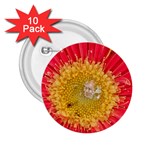 A Red Flower 2.25  Button (10 pack) Front