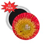 A Red Flower 2.25  Button Magnet (10 pack) Front