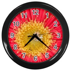 A Red Flower Wall Clock (black) by natureinmalaysia