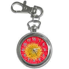 A Red Flower Key Chain & Watch by natureinmalaysia