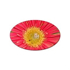 A Red Flower Sticker (oval) by natureinmalaysia