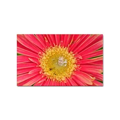 A Red Flower Sticker 10 Pack (rectangle) by natureinmalaysia