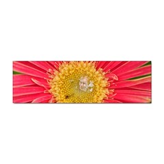 A Red Flower Bumper Sticker 10 Pack by natureinmalaysia