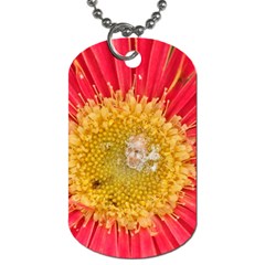 A Red Flower Dog Tag (two Sided) 